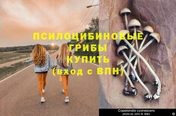 spice Магадан
