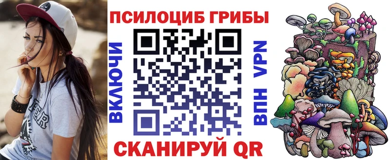 Псилоцибиновые грибы Psilocybe  Новосиль 